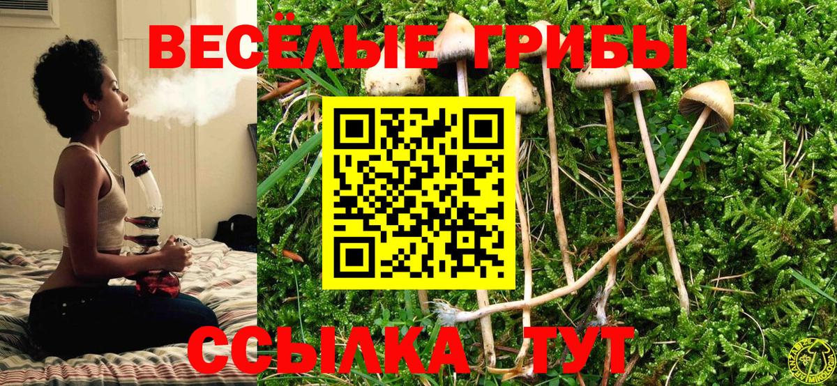 Псилоцибиновые грибы мухоморы  где найти наркотики  Дятьково  Галлюциногенные грибы GOLDEN TEACHER  Вход с VPN 