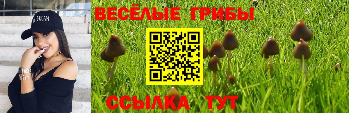 Галлюциногенные грибы GOLDEN TEACHER Дятьково